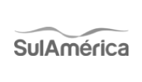 bandeira_sulamerica.webp